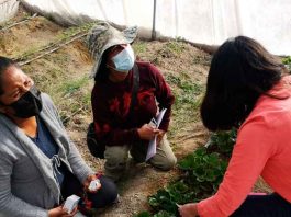 Experta de Agronomía UdeC realiza capacitación a comunidades Aymaras en Putre