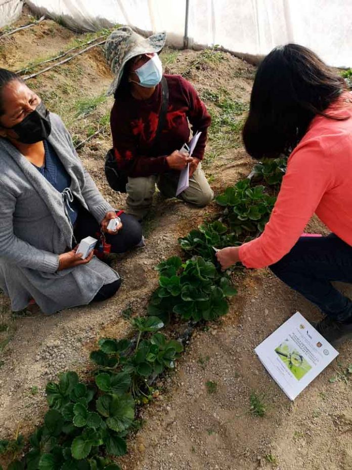 Experta de Agronomía UdeC realiza capacitación a comunidades Aymaras en Putre