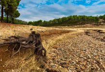 Expertos UdeC trabajarán en la mitigación de cambio climático en microcuencas del Bio Bío