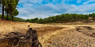 Expertos UdeC trabajarán en la mitigación de cambio climático en microcuencas del Bio Bío