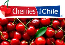 Exportaciones de cerezas chilenas