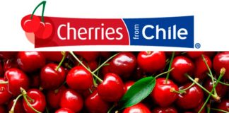 Exportaciones de cerezas chilenas