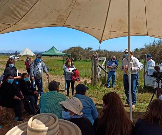 Fueron cerca de 300 personas las que asistieron al Día de Campo INIA Hidango en su versión 2021.