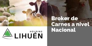 Holding Lihuén Broker de Carnes