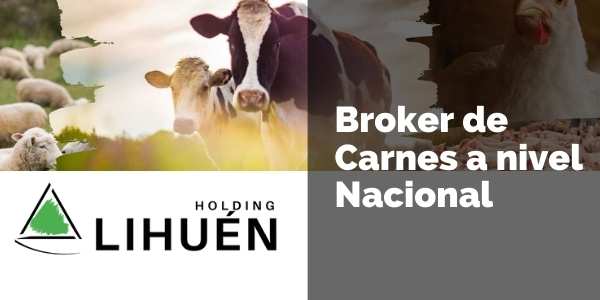 Holding Lihuén Broker de Carnes