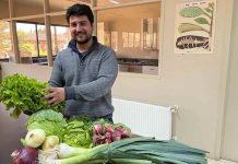 INIA Remehue cuenta con nuevo investigador especializado en manejo agronómico de hortalizas