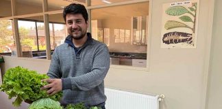 INIA Remehue cuenta con nuevo investigador especializado en manejo agronómico de hortalizas