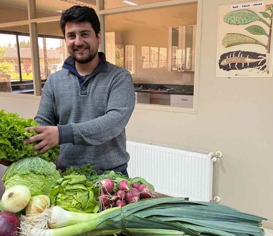 INIA Remehue cuenta con nuevo investigador especializado en manejo agronómico de hortalizas