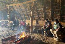 La Araucanía: Buscan rescatar la gallina mapuche y el turismo en el lago Budi con innovación agrícola
