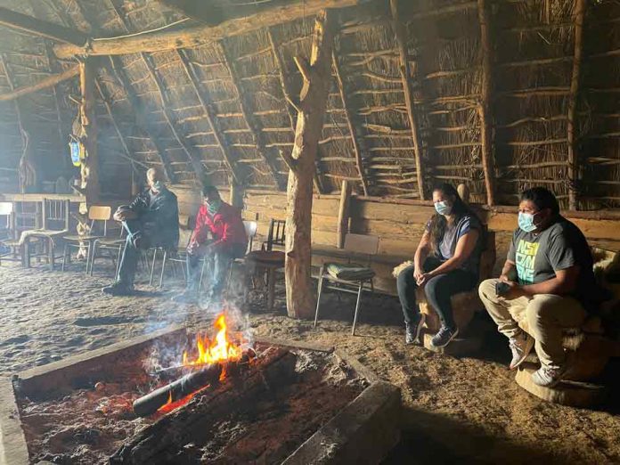 La Araucanía: Buscan rescatar la gallina mapuche y el turismo en el lago Budi con innovación agrícola