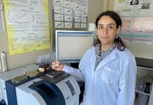 Laboratorio de espectroscopia de infrarrojo cercano (NIRS) de INIA Remehue: 10 años a la vanguardia en investigación