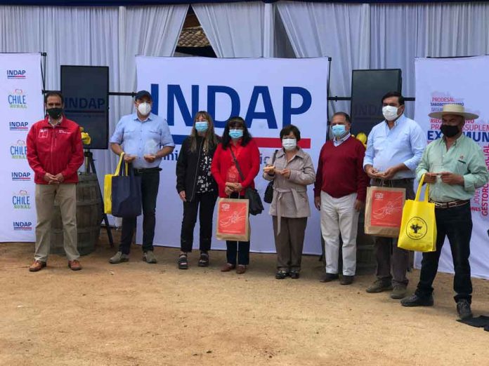 Más de 200 vinos campesinos participarán en la octava versión del Concurso del Vino de INDAP
