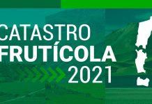 Ministra Undurraga por Catastro Frutícola 2021: “Contar con datos e información actualizada y oportuna es de vital relevancia para tomar las mejores decisiones”