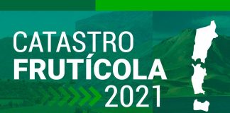 Ministra Undurraga por Catastro Frutícola 2021: “Contar con datos e información actualizada y oportuna es de vital relevancia para tomar las mejores decisiones”