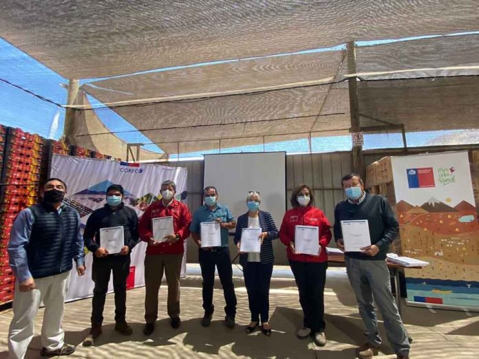 PTI Uva de Mesa entrega a productores tres manuales para aumentar competitividad de las empresas