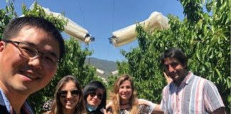 Para esta campaña de cereza chilena se espera mejor calidad