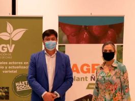 Presidente de viveristas pide que nuevas autoridades prioricen gestión del agua que la agricultura transforma en alimentos