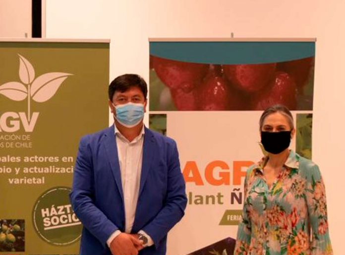 Presidente de viveristas pide que nuevas autoridades prioricen gestión del agua que la agricultura transforma en alimentos