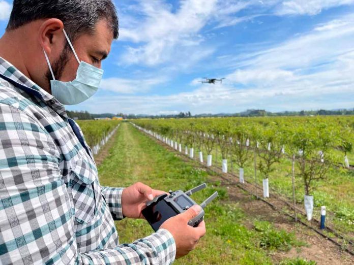 XI Encuentro INNOVAGRO 2021 para impulsar la digitalización en el agro nacional