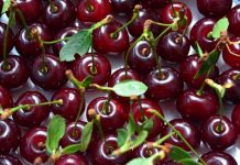 Comité de Cerezas de ASOEX entrega segunda estimación Temporada 2021-2022: Exportaciones de cerezas chilenas crecerán 2,6%