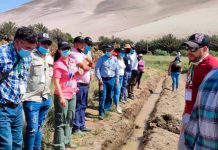 Agricultores de la Región Metropolitana conocen experiencias de riego en Pampa Concordia