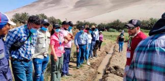 Agricultores de la Región Metropolitana conocen experiencias de riego en Pampa Concordia