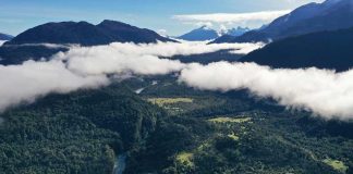 Calentamiento global, sequía, incendios: Conoce los 6 elementos esenciales para preservar la Patagonia chilena