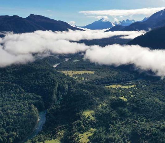 Calentamiento global, sequía, incendios: Conoce los 6 elementos esenciales para preservar la Patagonia chilena