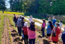 Cerca del 60% de los productores mejoró su rentabilidad gracias a Programa FNDR "Producción agroecológica y orgánica de pequeños y medianos productores"