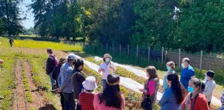 Cerca del 60% de los productores mejoró su rentabilidad gracias a Programa FNDR "Producción agroecológica y orgánica de pequeños y medianos productores"