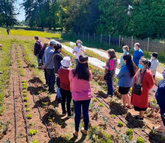 Cerca del 60% de los productores mejoró su rentabilidad gracias a Programa FNDR "Producción agroecológica y orgánica de pequeños y medianos productores"