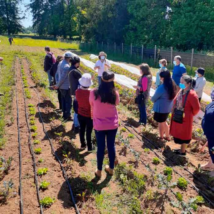 Cerca del 60% de los productores mejoró su rentabilidad gracias a Programa FNDR 