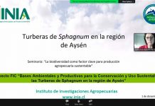 Con webinar sobre biodiversidad finalizó ciclo de seminarios de INIA sobre sustentabilidad y uso eficiente de los recursos naturales