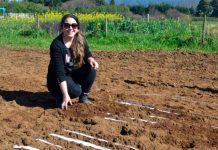 Desafíos para el uso de la biotecnología en el contexto de mejoramiento genético vegetal para la agricultura nacional