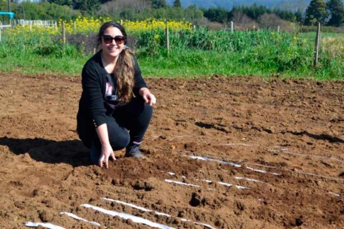 Desafíos para el uso de la biotecnología en el contexto de mejoramiento genético vegetal para la agricultura nacional