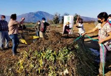 Durante el período de quemas agrícolas INIA La Platina fortalece programa de uso de alternativas sustentables al fuego en el sector agropecuario