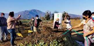 Durante el período de quemas agrícolas INIA La Platina fortalece programa de uso de alternativas sustentables al fuego en el sector agropecuario