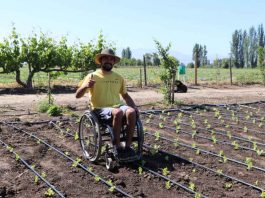 FIA destaca Farmhability en el Día Internacional de la Discapacidad