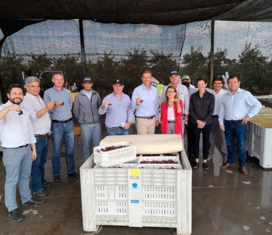 Fedefruta y Fruseptima muestran el proceso de cosecha y packing de cerezas en Curicó, a representantes de la Embajada de Estados Unidos en Chile