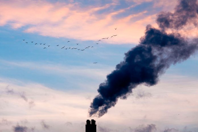 Gases de efecto invernadero: las cinco regiones de Chile con más emisiones netas de CO2 equivalente