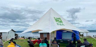 INIA Butalcura organizó taller y día de campo para GTT de semilleristas de papa de Chiloé