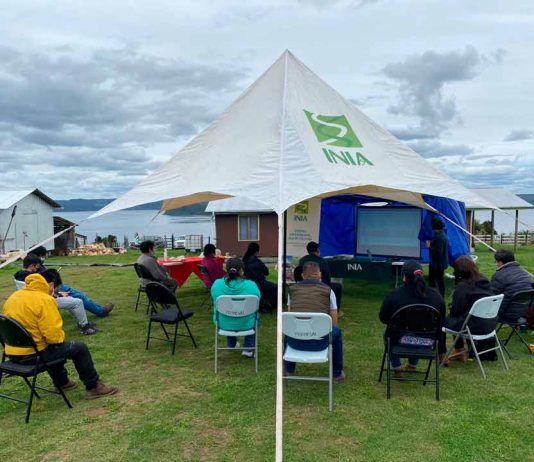 INIA Butalcura organizó taller y día de campo para GTT de semilleristas de papa de Chiloé