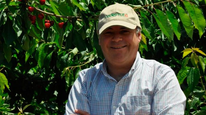 Ha habido una redistribución de gente que no ha impactado la cosecha de cerezas