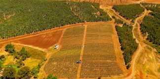 La transformación de la fruticultura