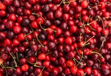 Llegan las primeras cerezas por mar de la temporada