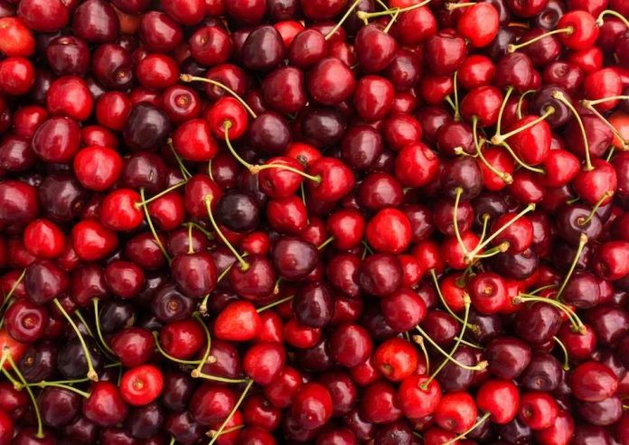Llegan las primeras cerezas por mar de la temporada