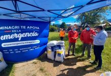 Ministerio de Agricultura distribuye 100 toneladas de alimento animal para pequeños agricultores de la provincia de Llanquihue afectados por la escasez hídrica 