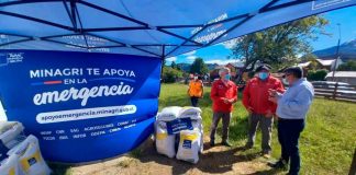 Ministerio de Agricultura distribuye 100 toneladas de alimento animal para pequeños agricultores de la provincia de Llanquihue afectados por la escasez hídrica 