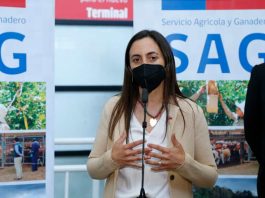 Nueva campaña informativa para viajeros que ingresan al país refuerza la necesidad de proteger el patrimonio fito y zoosanitario de Chile
