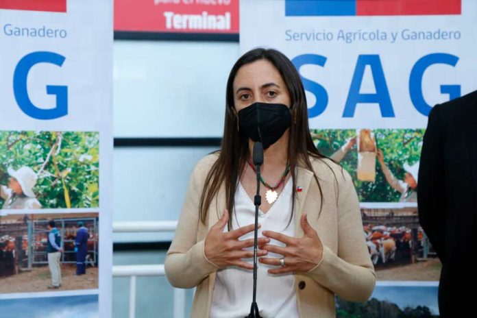 Nueva campaña informativa para viajeros que ingresan al país refuerza la necesidad de proteger el patrimonio fito y zoosanitario de Chile